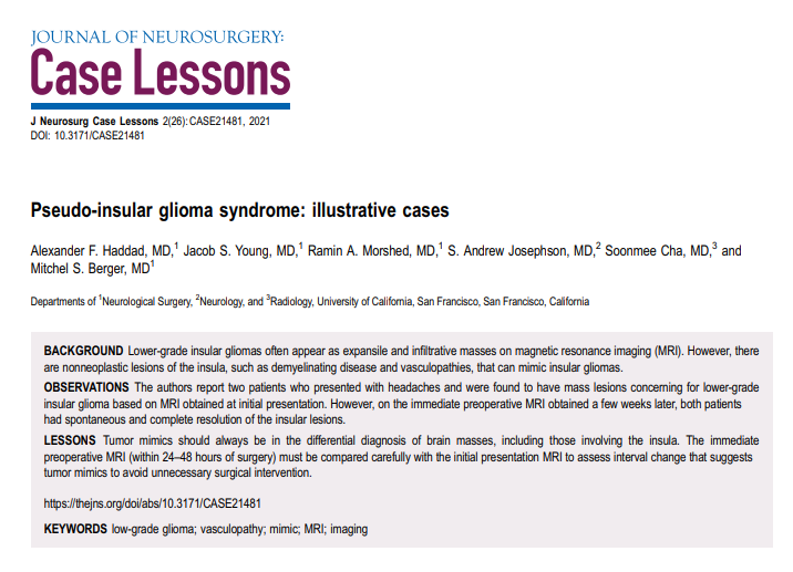 《Pseudo-insular glioma syndrome: illustrative cases》