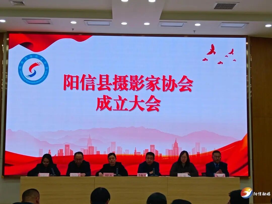 阳信县摄影家协会正式成立 光影艺术助力梨乡文化发展
