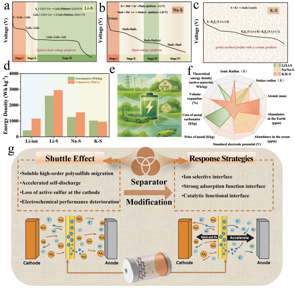 综述:碱金属硫电池中抑制穿梭效应的界面工程策略:从锂硫到钠硫和钾硫体系的比较综述 - 生物通