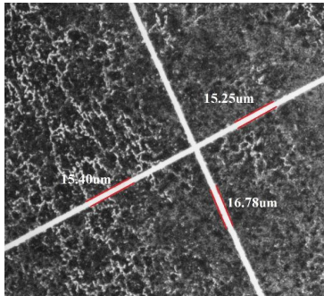 T/CITS 337-2025 基质辅助激光解吸电离-飞行时间质谱成像性能测试方法插图1 T/CITS 337-2025 基质辅助激光解吸电离-飞行时间质谱成像性能测试方法